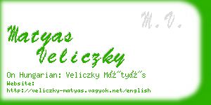 matyas veliczky business card